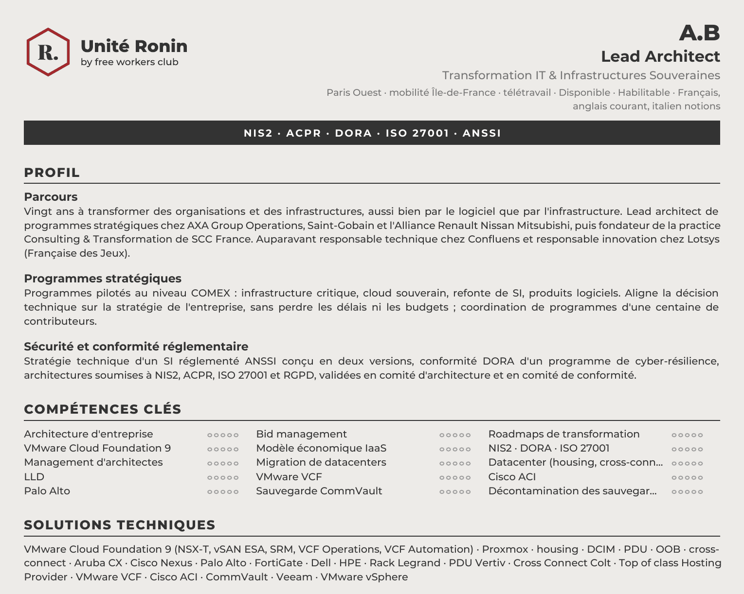 Page de synthèse d’un dossier de compétences Unité Ronin : profil, compétences clés notées, solutions techniques